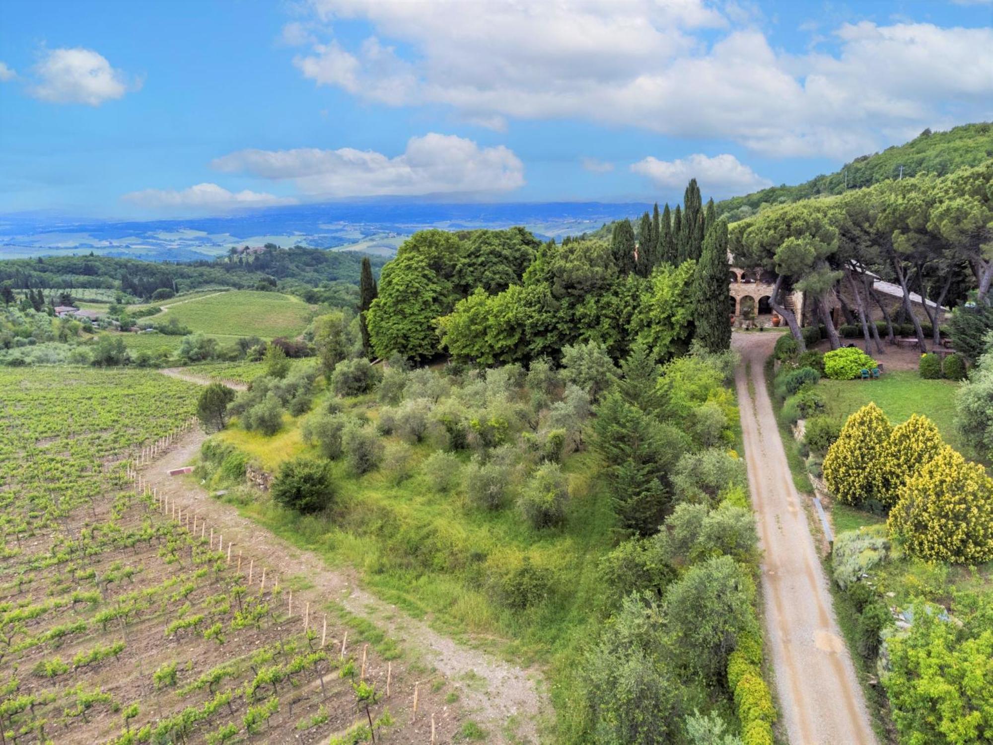 Apartment Cellole - Torretta - Ctc153 By Interhome Castellina in Chianti Dış mekan fotoğraf